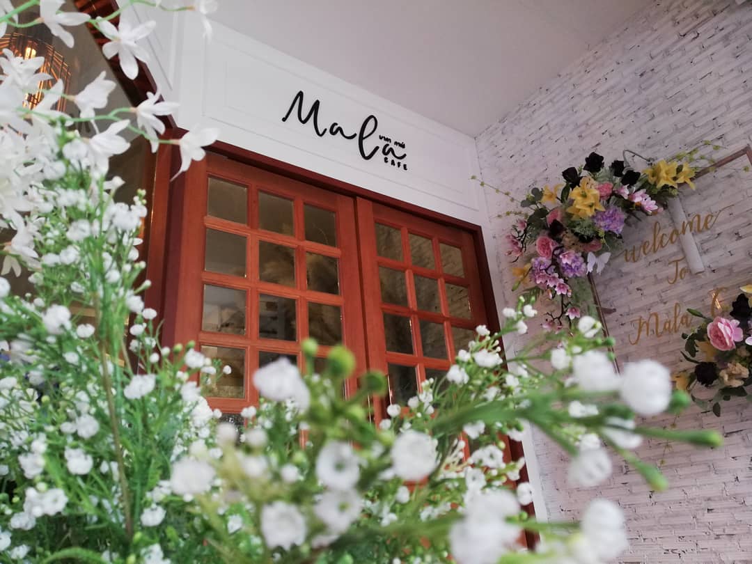 รวมรีวิวร้าน Mala Cafe’ จ.ศรีสะเกษ คาเฟ่สวยเปิดใหม่ดอกไม้เต็มร้าน