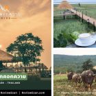 ร้าน "บ้านนอก คอกควาย" คาเฟ่ทุ่งนาเปิดใหม่แถวเขื่อนอุบลรัตน์ ขอนแก่น (เปิดใหม่ 2562)(รวมรีวิว) #รีวิวอีสาน #รีวิวขอนแก่น reviewesan.com