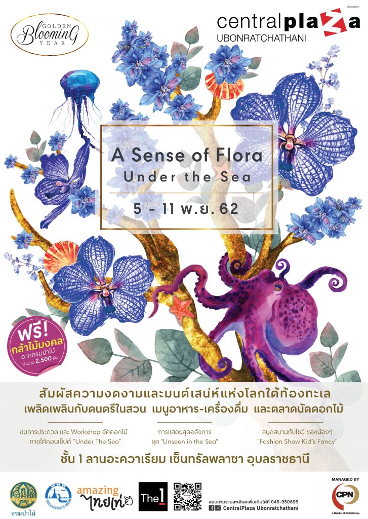 ชวนสัมผัสมนต์เสน่ห์แห่งโลกใต้ท้องทะเลกับงานจัดแสดงดอกไม้ “A Sense of Flora” 5-11 พฤศจิกายน 2562 ที่ เซ็นทรัลพลาซา อุบลราชธานี #รีวิวอุบล #รีวิวอีสาน reviewesan.com