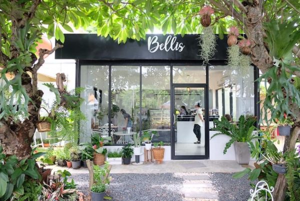 รวมรีวิวร้าน “Bellis Cafe in the Garden” อุบลราชธานี (เปิดใหม่ ส.ค.63) #รีวิวอีสาน reviewesan.com [2020]
