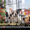 ชวนเที่ยวงานเกษตรที่ใหญ่ที่สุดในอีสาน "งานวันเกษตรภาคอีสาน" ประจำปี 2569 เริ่ม 23 ม.ค. - 1 ก.พ. ที่เดิม อุทยานเทคโนโลยีการเกษตร มหาวิทยาลัยขอนแก่น